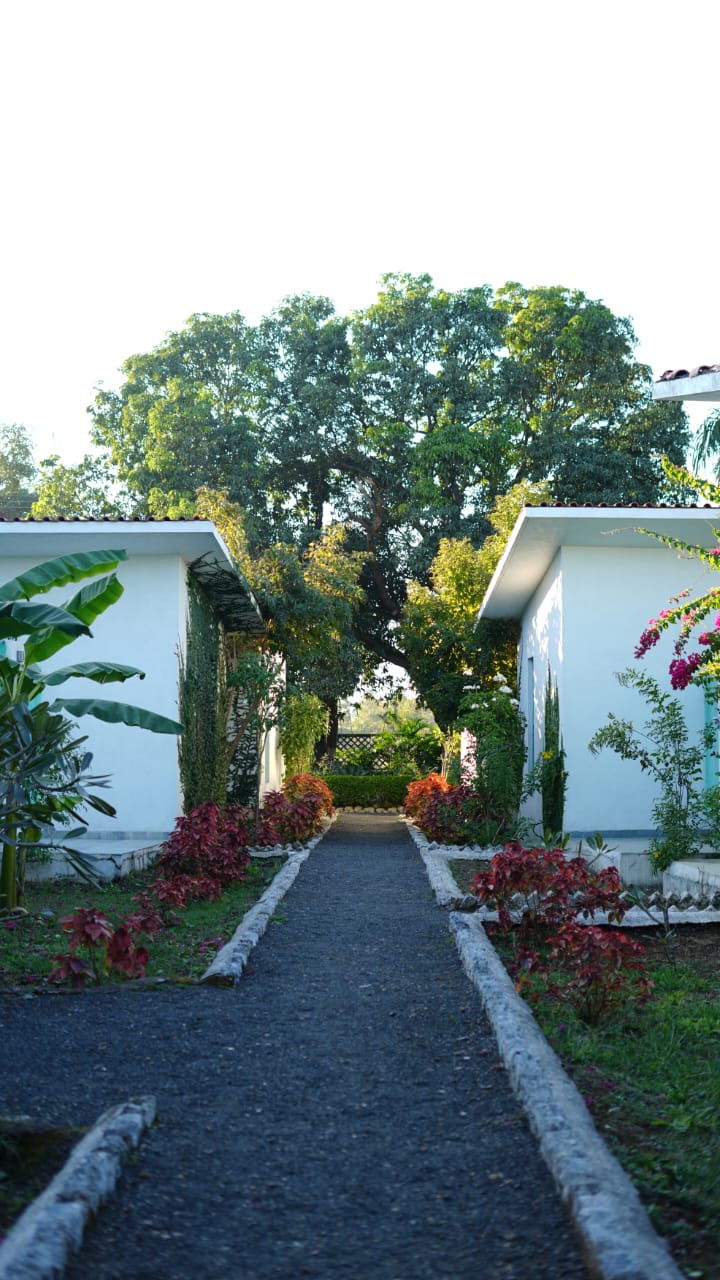 Cabin exterior